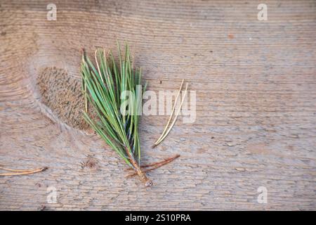 A wooden board on which a small pine branch with a few more detached needles is placed. The branch is fresh, with bright green needles. The board is o Stock Photo
