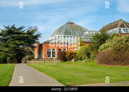 Winter Gardens, Avery Hill Campus Mansion House, Avery Hill Park, Eltham, Greater London Stock Photo