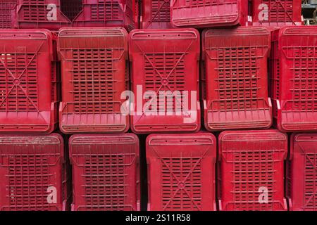 Rows of stacked red heavy duty plastic crates for transporting fruit and vegetables to processing plant, Sorrento, Campania region, Italy, Europe Stock Photo