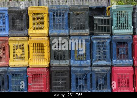 Rows of stacked colourful heavy duty plastic crates for transporting fruit and vegetables to processing plant, Sorrento, Campania region, Italy, Europ Stock Photo