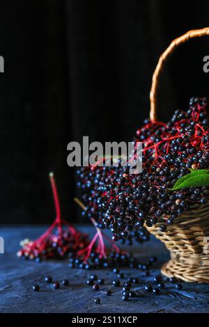 Ripe wild black elderberry (sambucus nigra) in a basket on the stone table - dark and moody photography Stock Photo