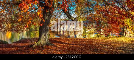 Daytime view in Autumn of Tyne Green Country Park in Hexham, Northumberland with Hexham Bridge and the River Tyne and autumnal colours Stock Photo