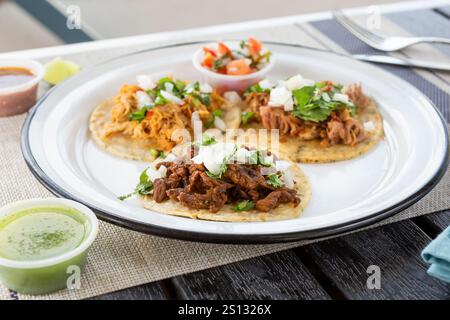 A view of three Mexican street tacos on a plate. Stock Photo