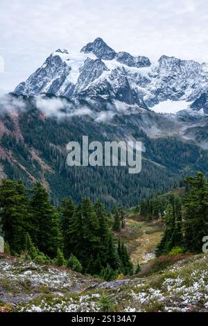 Hiking through high alpine meadows of Tod Mountain in the Shuswap ...