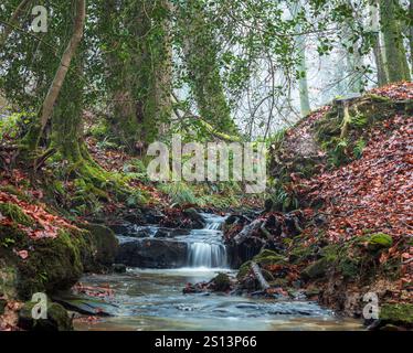 Small natural waterfalls and flowing streams through Dallington forest on the high weald east Sussex south east England UK Stock Photo