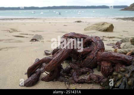 rusty anchor chain on the beach of La Fresnaye, France, Brittany, Saint-Cast-le-Guildo Stock Photo
