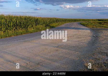 road in the summer at sunset, a country road for transport along the roadsides there are fields Stock Photo