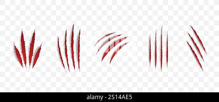 Cat scratch. Realistic set of animal claw marks isolated on transparent background. Red marks of cats tiger lion or wild animals. Flat vector Stock Vector