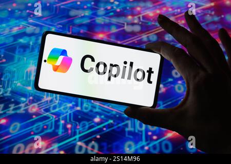 Brussels, Belgium. 30th Dec, 2024. The Microsoft logo is being displayed on a mobile screen, in this photo illustration.Taken in Brussels, Belgium, On 30 December 2024. (Jonathan Raa/Sipa USA) *** Strictly for editorial news purposes only *** Credit: Sipa USA/Ģ����ý Live News Stock Photo