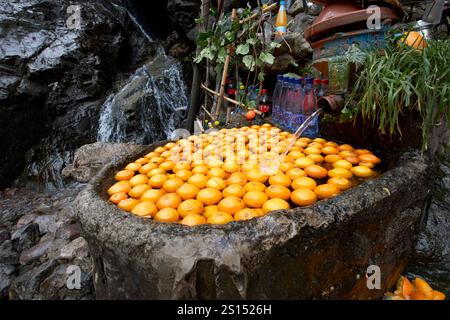 oranges cooling in artificial pool in the cafe at the imlil waterfalls imlil valley imlil morocco Stock Photo
