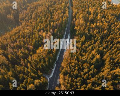 Road leads through dense forest in warm autumn colours, Seewald, Black Forest, Germany, Europe Stock Photo