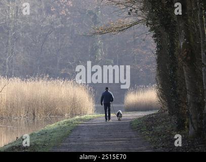 Elderly man walking a small dog on the shore of a lake, morning calm in autumn, Burghausen, Upper Bavaria, Bavaria, Germany, Europe Stock Photo