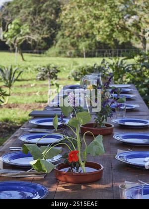 High angle of banquet table served with rows of empty glasses plates in shade decorated with flower plants in pots against blurred green trees in sunn Stock Photo