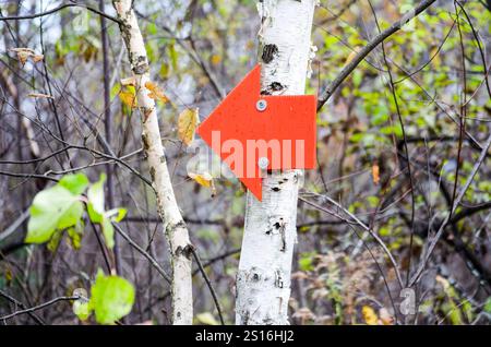 Red Arrow Fastened to a Birch Tree Point to the Left to Communicate Direction of Travel on Cross Country Trail System Stock Photo