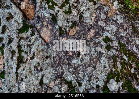 Chambles, France - October 5th 2024 : Close-up of a stone. Stock Photo