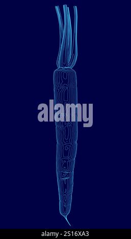 Blue image of a carrot with a blue stem. The carrot is shown in a stylized way. The image has a dreamy, surreal quality to it Stock Vector