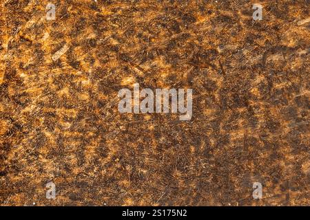 Dark brown colour abstract texture pattern background Stock Photo