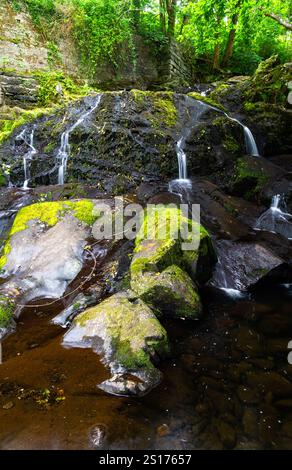 Main part of the The Fairy Falls, called Rhaeadr y Tylwyth Teg in Welsh. Waterfall in Trefriw Conwy County, North Wales, UK, low water because if summ Stock Photo