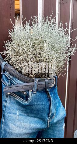 View of a flower planted in a pot made from old jeans Stock Photo