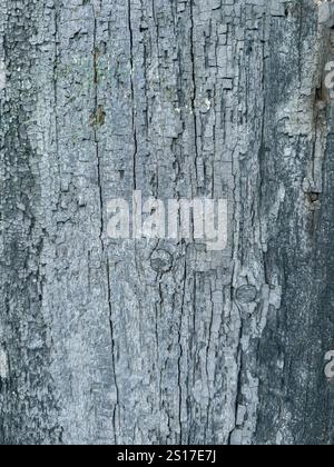 Old wooden panel with blue peeling paint, close up, background. Stock Photo