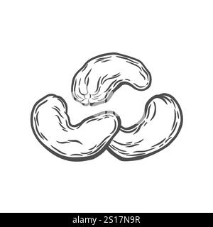 Set of cashew nuts in engraving style Stock Vector