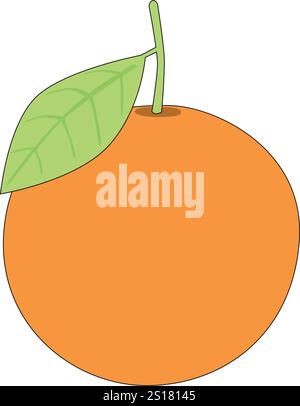 Orange fruit. Oranges that are segmented on a white background in a flat vector illustration style. Stock Vector