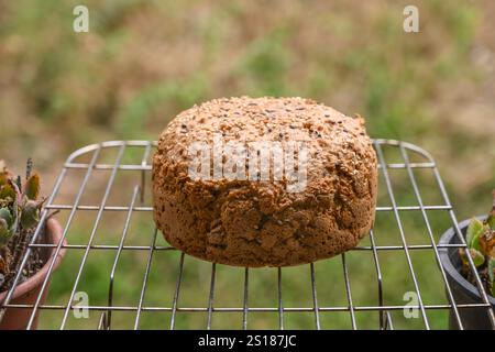 Homemade whole wheat bread with different types of sesame seeds cools on a rack in the window Stock Photo