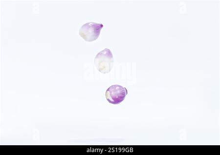 Levitating Purple Shallots Isolated on Clean White Background Stock Photo