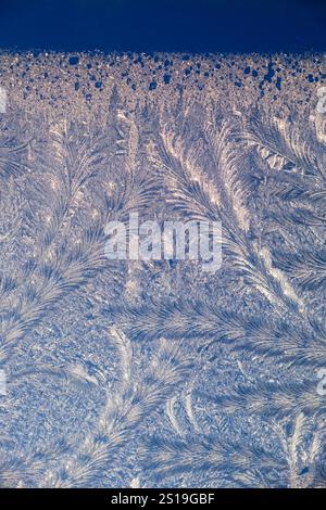 Beautiful abstract feathery frost patterns formed by ice crystals on window pane with blue sky in winter Wales UK Great Britain KATHY DEWITT Stock Photo