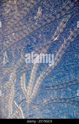 Beautiful abstract frost patterns formed by ice crystals on window pane in winter Wales UK Great Britain KATHY DEWITT Stock Photo