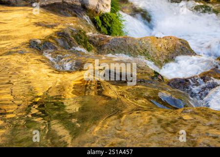 Golden reflections shimmer on the surface of flowing water as it cascades over moss-covered rocks. Stock Photo