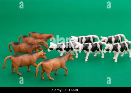 Black and white plastic cows facing brown bulls on green background Stock Photo