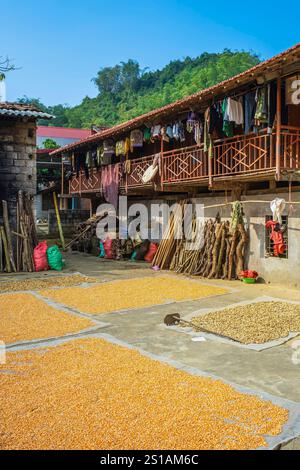 Vietnam, Lang Son province, Bac Son valley, drying corn and peanuts Stock Photo