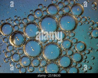 Visual representation of oil bubbles floating on a blue liquid background. Ideal for science, nature, or abstract concepts. Stock Photo