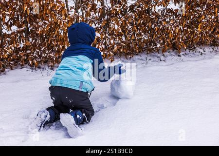 Child in blue winter jacket kneeling on snow-covered ground, rolling snowball near hedge during snowy winter day. Stock Photo