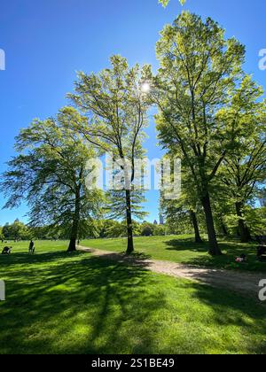 Springtime at Sheep Meadow, Central Park, Manhattan, New York City Stock Photo
