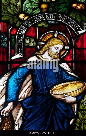 The sower soweth the word: Stained glass window in the Church of St Edward, King and Martyr, illustrating the biblical Parable. Corfe Castle, Dorset. Stock Photo