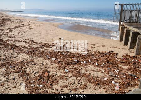 Trash and plastic on beach in Playa Del Rey that washed up the day after Tropical Storm Hilary hit Los Angeles. August 21, 2023. California, USA Stock Photo