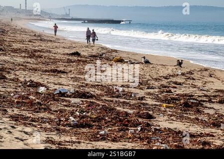 Trash and plastic on beach in Playa Del Rey that washed up the day after Tropical Storm Hilary hit Los Angeles. August 21, 2023. California, USA Stock Photo