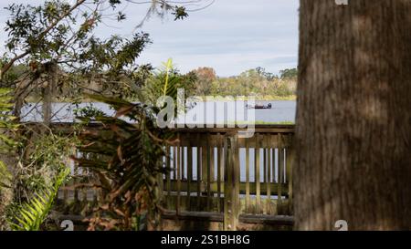 Bass boat driving with cypress tree and wood walking path in foreground Stock Photo