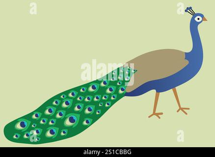 Peacock Bird Illustration, Cartoon Peacock, bird, colourful feathers, Peacock Vector. Stock Vector