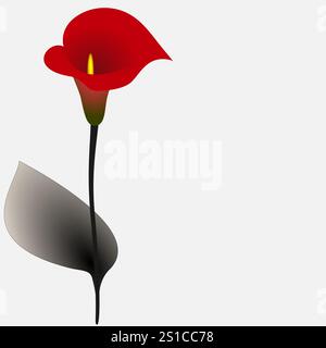 Floral background with red calla, design element. Stock Vector