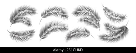 Elegant Palm Leaf Shadows Overlay Set on a White Background in Black and White. Beautiful palm leaf shadows cast on a plain white surface, creating a Stock Vector