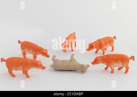 Multiple toy pig animals attacking the sheep on white isolated background Stock Photo