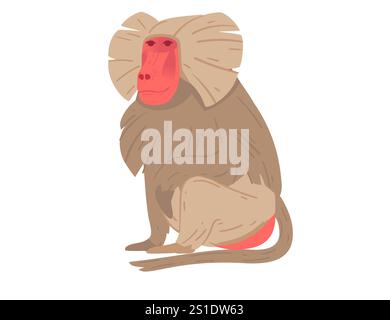Front-facing baboon with a red face and distinctive mane, sitting position. Perfect for wildlife education, animal designs, and zoo themes. Vector ill Stock Vector