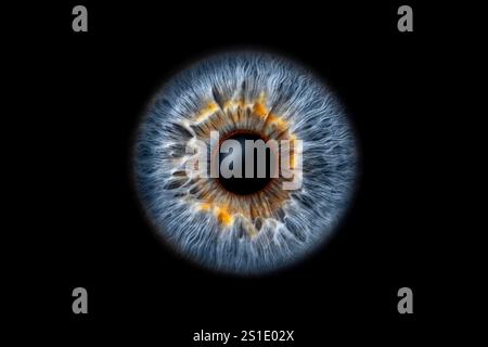 Close-up of human eye iris on black background, macro photography Stock Photo