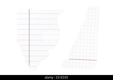 Vector realistic illustration , line and cell paper scrap, notebook sheet Stock Vector
