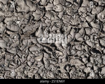 Cracked earth, dried mud, Bavaria, Germany, Europe Stock Photo