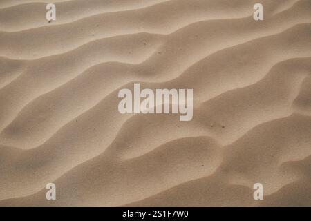 wind blowing sand ripples on windy essaouira beach , morocco Stock Photo
