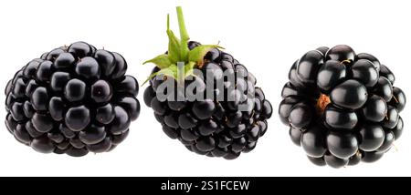 set of blackberries isolated on a white background. Stock Photo